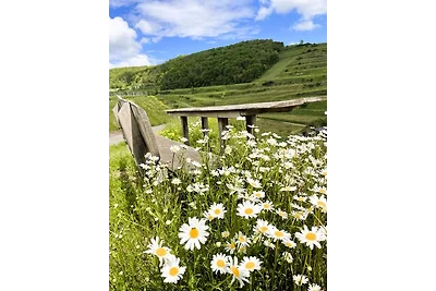 Appartamento Vacanza con famiglia Vogtsburg im Kaiserstuhl