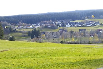 Vakantieappartement Gezinsvakantie Lenzkirch