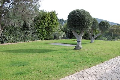 Vakantiehuis Ontspannende vakantie Santa Barbara de Nexe