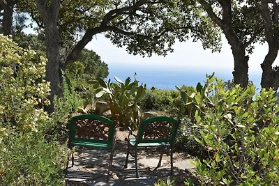 Villa Alexa
