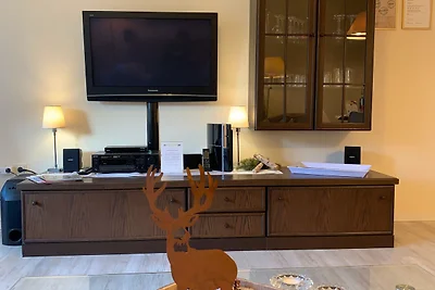 Premiumferienwohnung - Köhnke 1