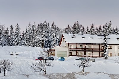 Vakantieappartement Gezinsvakantie Schwarzenberg