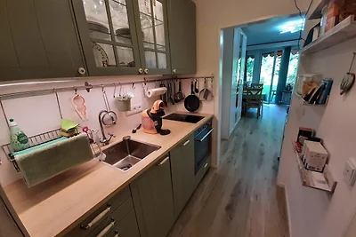 Alpenschwänchen 4 -