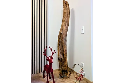 Ferienwohnung "forest life"