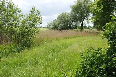 Ferienhaus 2288 in Tossens