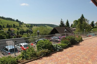 Ferienwohnung Todtnauberg in der