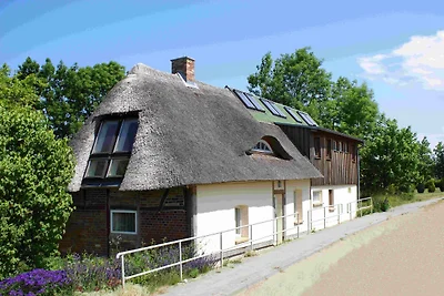 Casa vacanze Vacanza di relax Damshagen