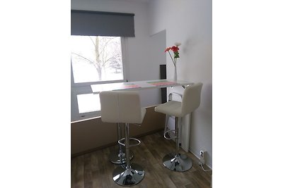 Vakantieappartement Gezinsvakantie Dresden