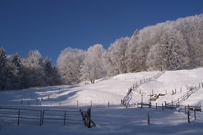 Winter 2022 Ferienwohnung Eurasburg