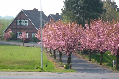 Ferienwohnung Altes Land Jork bei