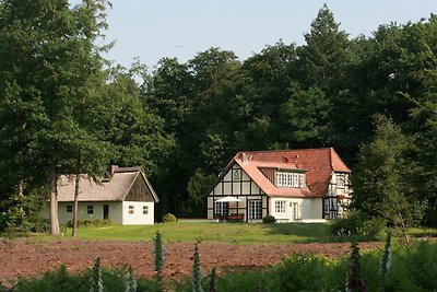 Vakantieappartement Gezinsvakantie Scharnebeck