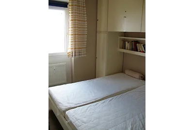 Vier Jahreszeiten I / 50