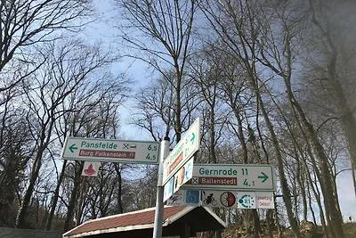 Ferienhaus an der Selke