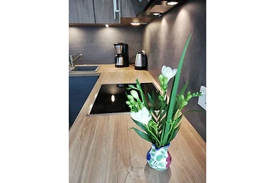 FEWO Boddenblick-Vilm