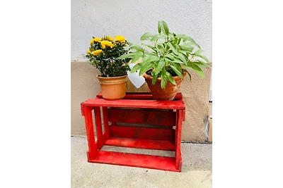 Vakantieappartement Gezinsvakantie Rüdesheim am Rhein