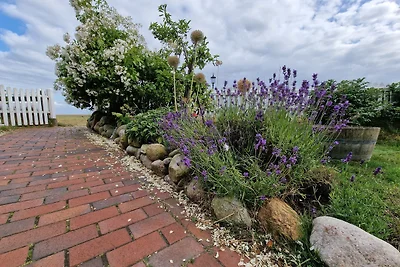 *** Studio-Inselrose ***