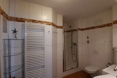 Meerblick 11 - Seemöwe