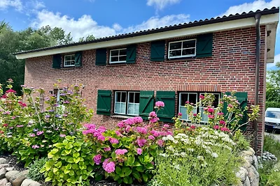 Sylter Seestern Haus Alter