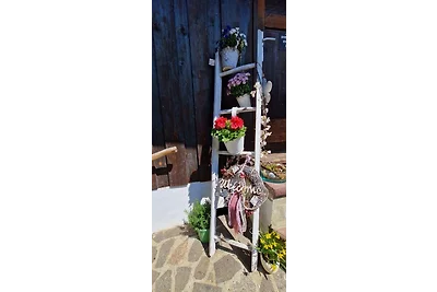 Holiday flat family holiday Quedlinburg