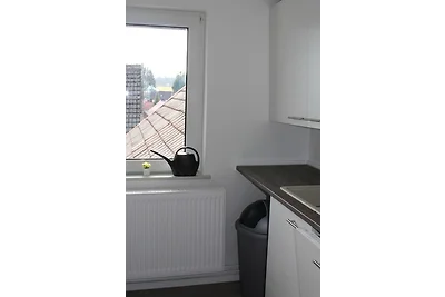 Fewo HARZ Benneckenstein