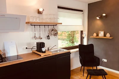 Holiday home relaxing holiday Wietze