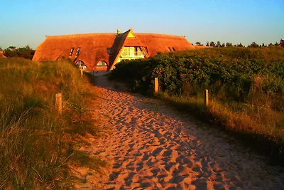 Vakantiehuis Ontspannende vakantie Dierhagen