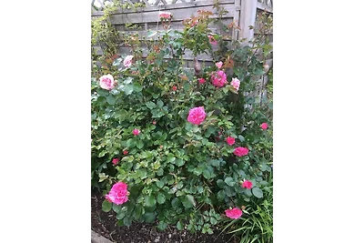 Casa vacanze Vacanza di relax Bünsdorf