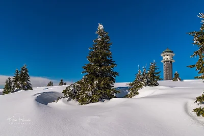 Appartamento Vacanza con famiglia Feldberg