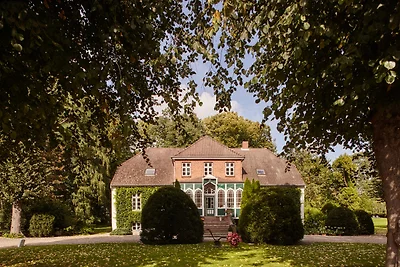 Veilchen