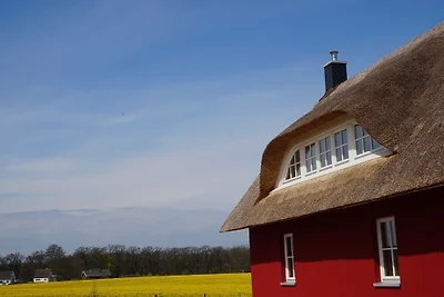 Reethaus "Schwarze Perle"