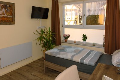 Vakantieappartement Gezinsvakantie Marktheidenfeld