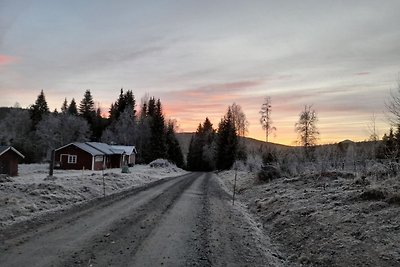 Vakantiehuis Ontspannende vakantie Torsby