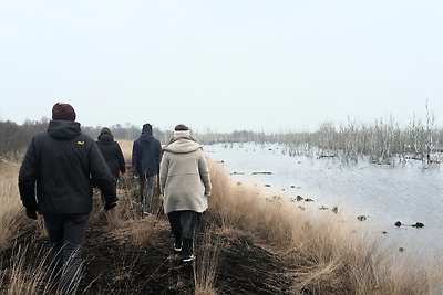 Vakantiehuis Ontspannende vakantie Sögel