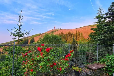 Ferienwohnungen Dorfliebe Dörnberg