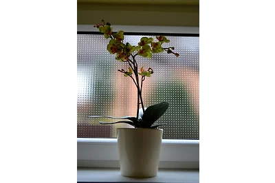 Ferienwohnung Ute Ridder