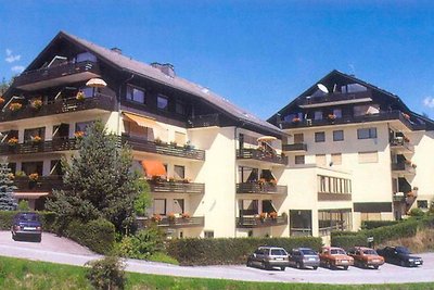 Vakantieappartement Gezinsvakantie Lenzkirch