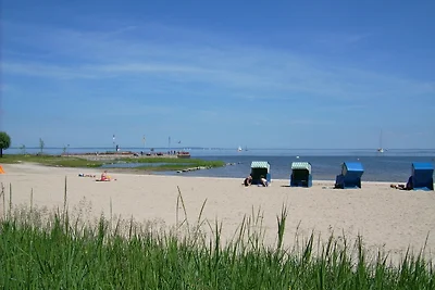 Ferien-Bungalow im Seebad