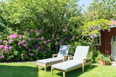 *** Studio-Inselrose ***