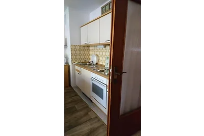 Vakantieappartement Gezinsvakantie Todtmoos