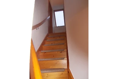 Finnhäuser am Vogelpark - Haus