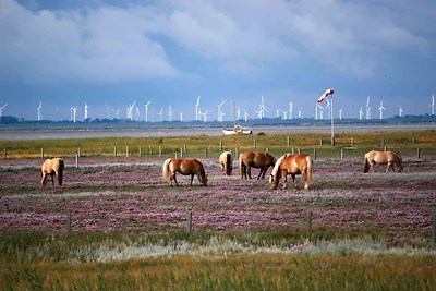 Ferienwohnung "Hellerblick"