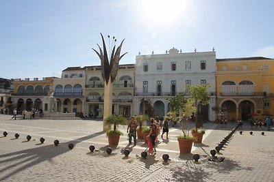 La Perla Del Oriente Appartement 2