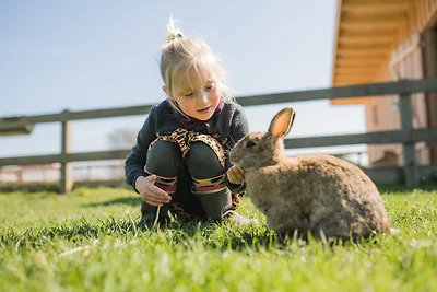 Vakantieappartement Gezinsvakantie Burg auf Fehmarn