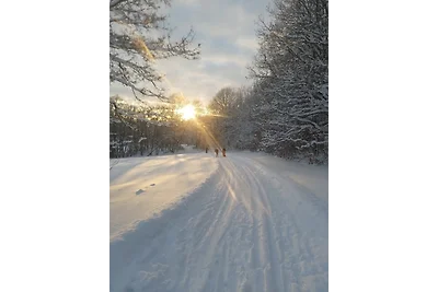Ferienwohnung Sonnenschein mit