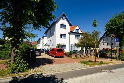 Stranddistel