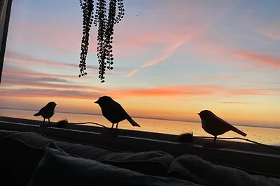 Traumlage Nr. 58 Traumblick direkt