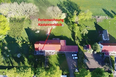 Ferienwohnung Kastanienblick