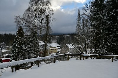 Vakantieappartement Gezinsvakantie Clausthal-Zellerfeld