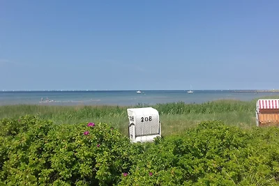 Ferienwohnung "Ostseestrand" in