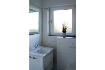 Lachmöwe, Haus an den Salzwiesen
